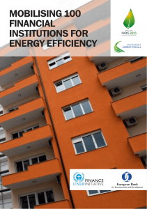 mobilising 100 financial institutions for energy efficiency