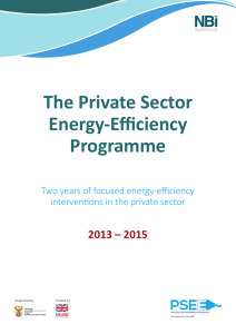 The Private Sector Energy-Efficiency Programme
