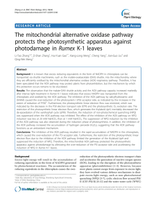 The mitochondrial alternative oxidase pathway protects the