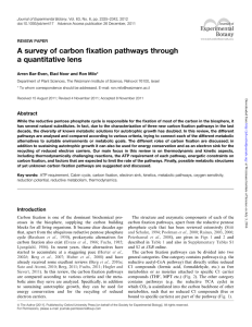 A survey of carbon fixation pathways through a quantitative lens