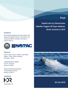 New report on Cuvier`s beaked whales and pilot whales off Cape