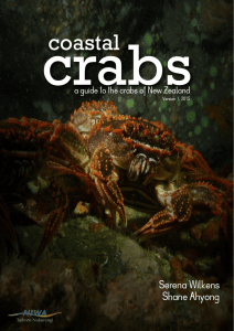 Coastal Crabs