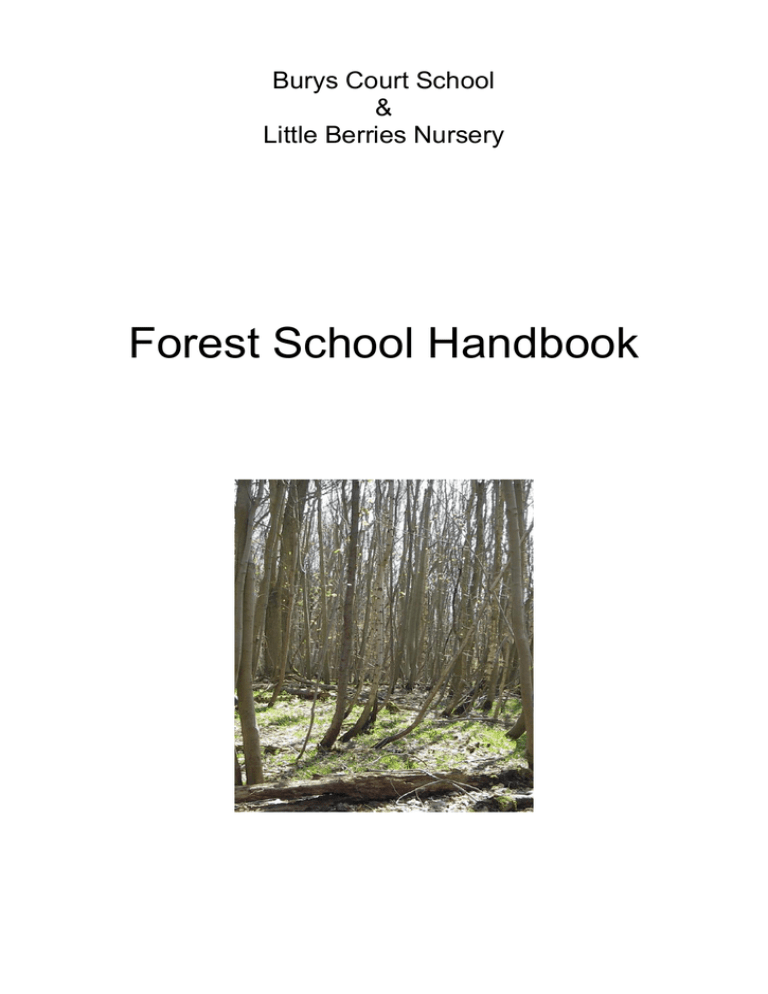 a-forest-days-handbook-program-design-for-school-days-outside-green