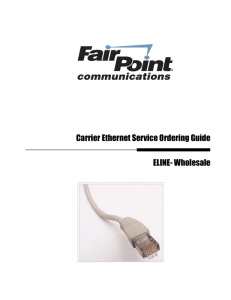 Carrier Ethernet Service Ordering Guide