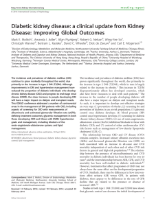 a clinical update from Kidney