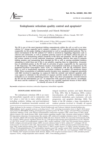 Endoplasmic reticulum quality control and apoptosis