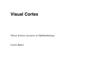 Visual Cortex lecture slides-15