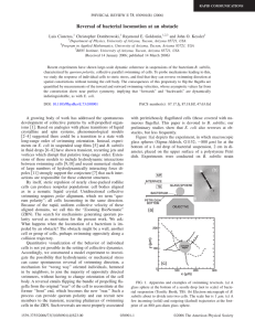 Reversal of bacterial locomotion at an obstacle