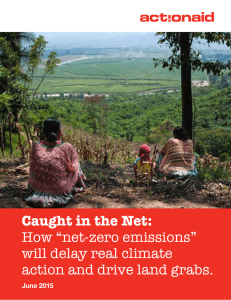 Caught in the Net: How “net-zero emissions”