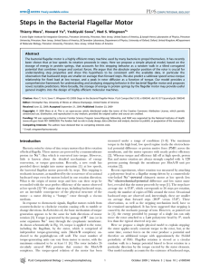 Steps in the Bacterial Flagellar Motor