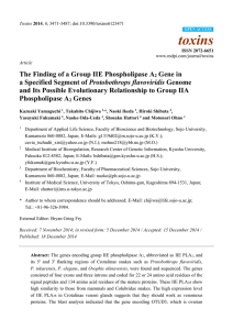 The Finding of a Group IIE Phospholipase A2 Gene in a