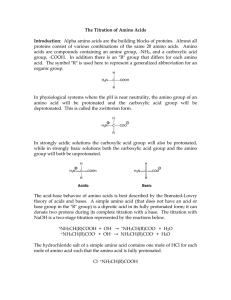 Chem 163 Amino Acids Lab