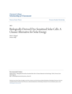 Biologically-Derived Dye-Sensitized Solar Cells