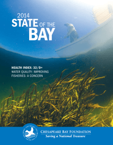 2014 State of the Bay Report