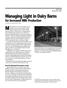 Managing Light in Dairy Barns for Increased Milk Production