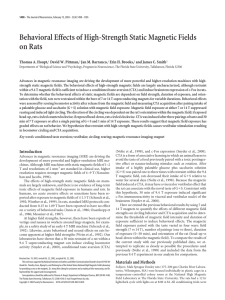 Behavioral Effects of High-Strength Static Magnetic Fields on Rats
