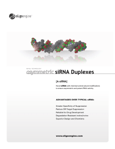 asymmetric siRNA Duplexes
