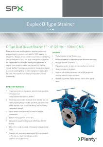 Duplex D-Type Strainer