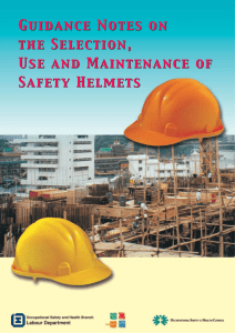 Guidance Notes on the Selection, Use and Maintenance of Safety