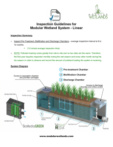 Inspection Guidelines for Modular Wetland System