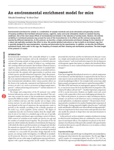 An environmental enrichment model for mice