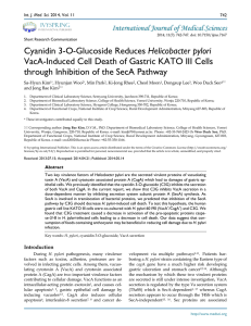 Cyanidin 3-O-Glucoside Reduces Helicobacter pylori VacA