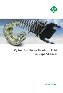 Cylindrical Roller Bearings SL04 in Rope Sheaves