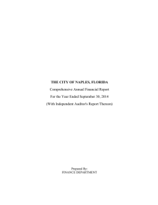 2014 - City of Naples - Comprehensive Annual Financial Report