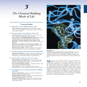 Chapter 3: The Chemical Building Blocks of Life