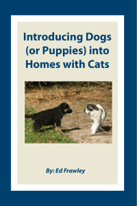 Introducing Dogs (or Puppies) into Homes with Cats