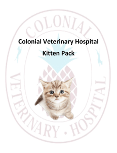 Colonial Veterinary Hospital Kitten Pack
