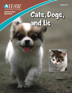 Cats,Dogs, and Us - International Fund for Animal Welfare