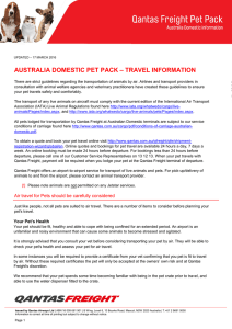 australia domestic pet pack – travel information