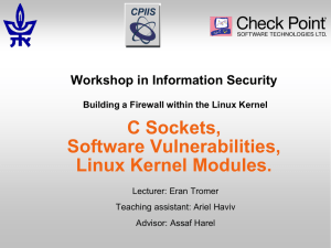 C Sockets, Software Vulnerabilities, Linux Kernel Modules.