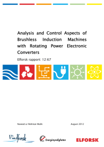 Analysis and Control Aspects of Brushless Induction