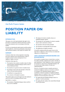 position paper on liability
