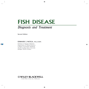fish disease