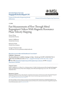 Fast Measurements of Flow Through Mitral Regurgitant Orifices With