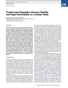 Feedforward Regulation Ensures Stability and Rapid Reversibility of