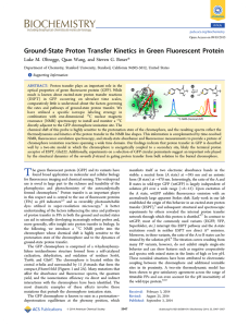 Ground-State Proton Transfer Kinetics in Green Fluorescent Protein