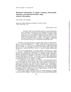 Bicarbonte stimulation, of oxygen evolution, ferricyanide reduction