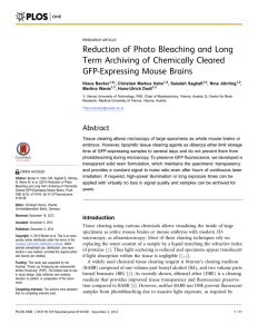 Reduction of Photo Bleaching and Long Term Archiving of