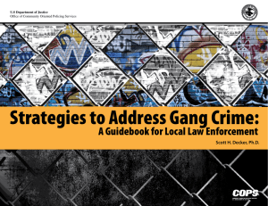 Strategies to Address Gang Crime