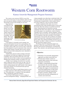 MF2642 Western Corn Rootworm: Kansas Areawide Management