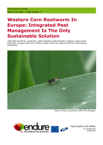 Western Corn Rootworm In Europe: Integrated Pest Management Is
