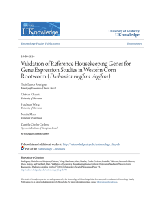 Validation of Reference Housekeeping Genes for