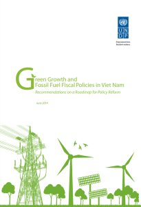 Green Growth and Fossil Fuel Fiscal Policies in Viet Nam