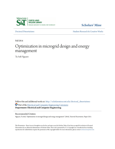 Optimization in microgrid design and energy