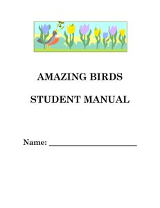 AMAZING BIRDS STUDENT MANUAL