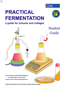 Practical fermentation - National Centre for Biotechnology Education